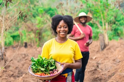 TOP 3 RESEARCH METHODS THAT ARE IMPACTFUL IN ADDRESSING CLIMATE CHANGE CHALLENGES FOR AFRICAN CONSUMERS